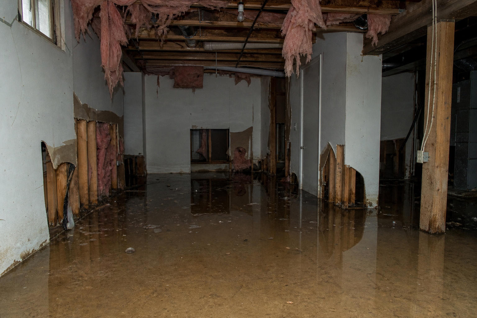 Basement Water Damage — before